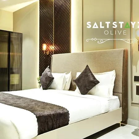 Saltstayz Select - Pitampura